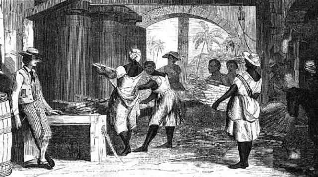 Availability of sugar