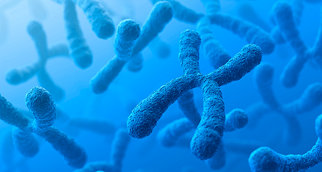Síntesi evolutiva moderna