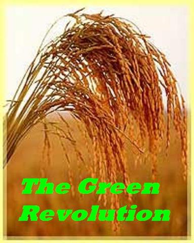 Green Revolution