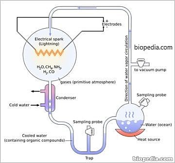 Experimento de Miller