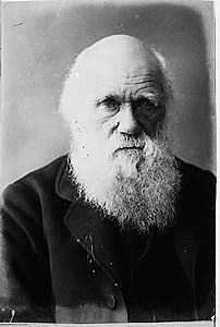 Darwin (Psicología comparada)