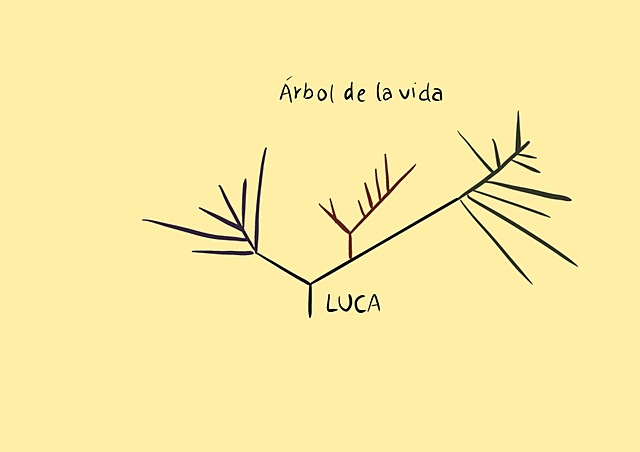 TEORÍA DE LA PANSPERMIA