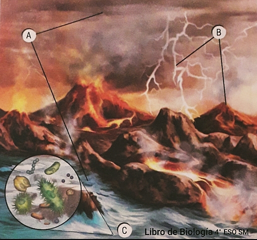 Teoría de Oparin y Haldane ( Teoría de la síntesis prebiótica)