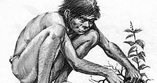 ANTES    DEL    FUEGO