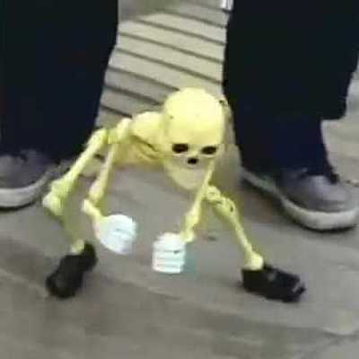 Timeline: My Daily Routine