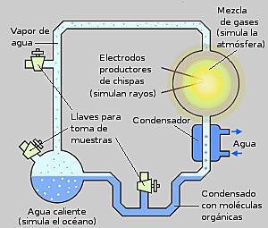 Teoría síntesis prebiótica