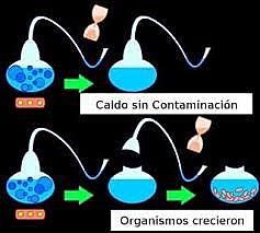 Experimento de Louis Pasteur
