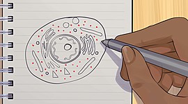 Timeline: TEORÍAS BIOLOGÍA 4D E.S.O