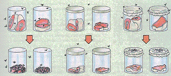 Teoría de la generación espontánea.