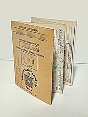 Servicio de Seguro Social (SSS)