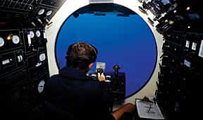 La nueva terminología