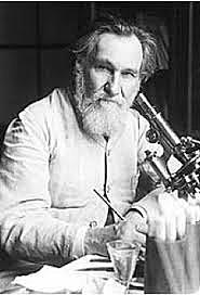 Metchnikoff formula la teoría fagocitósica