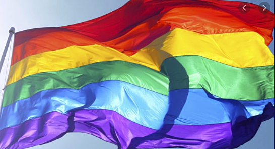 Creación y diseño de la bandera LGBTI