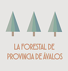 fundación de la provincia de avalos