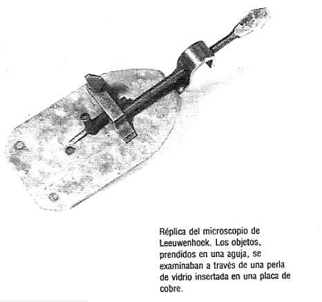 Antoine Van Leewenhoek