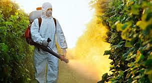 El Gobierno fumigaba los cultivos para acabar con el narcotráfico