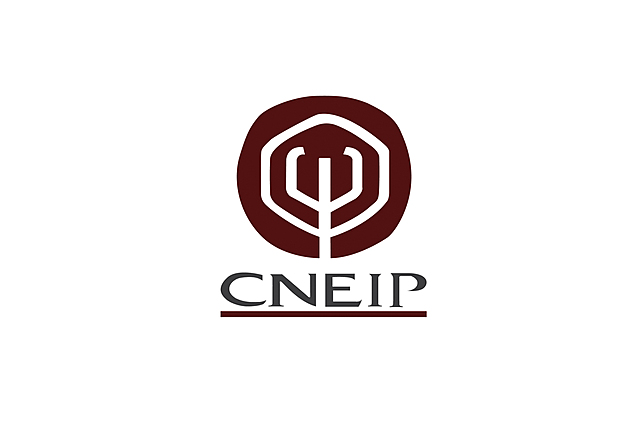 Formación del Consejo Nacional para la Enseñanza e Investigación de la Psicología (CNEIP)
