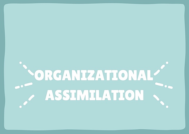 Organizational Assimilation