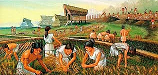 Descobriment de l'agricultura