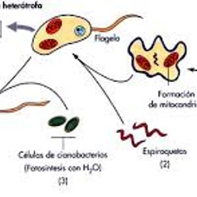 Timeline: Teoría del origen de la vida
