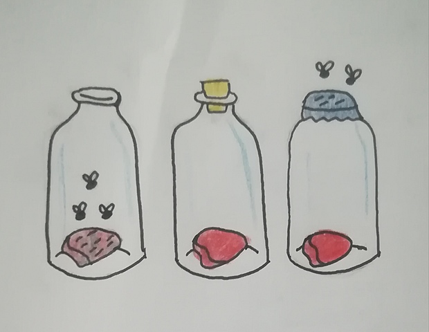 Teoría de la generación espontánea