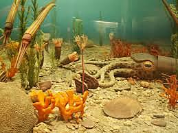 Organismes unicel·lulars