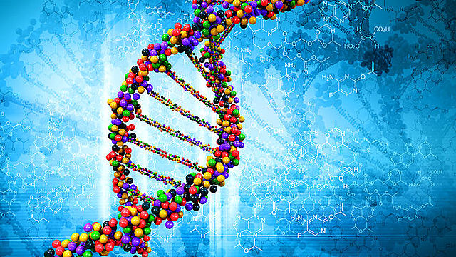 Desciframiento del Genoma Humano