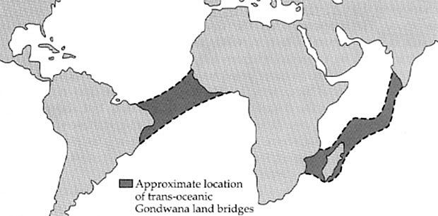 Teoría de los puentes continentales