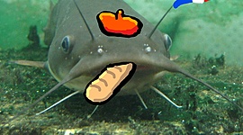 Timeline: innlevering tidslinje