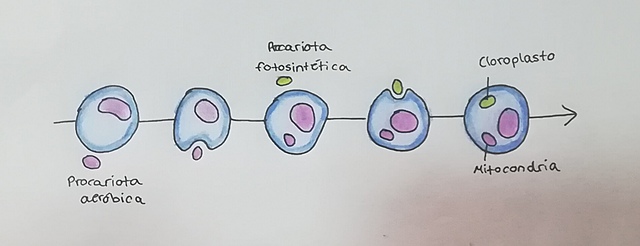 Teoría endosimbiótica