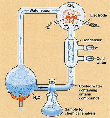 Experimento de Miller