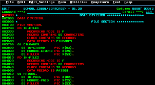 El desarrollo de COBOL