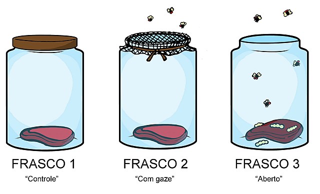 Experimento Francesco-Redi