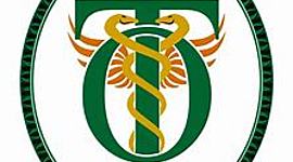 Timeline: TIMELINE DE TERAPIA OCUPACIONAL