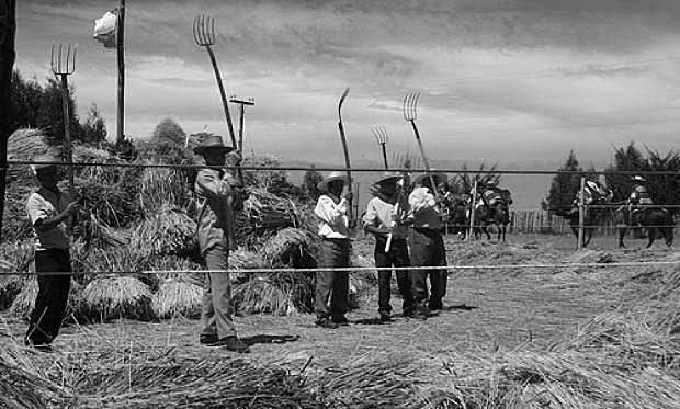 Primera Reforma Agraria