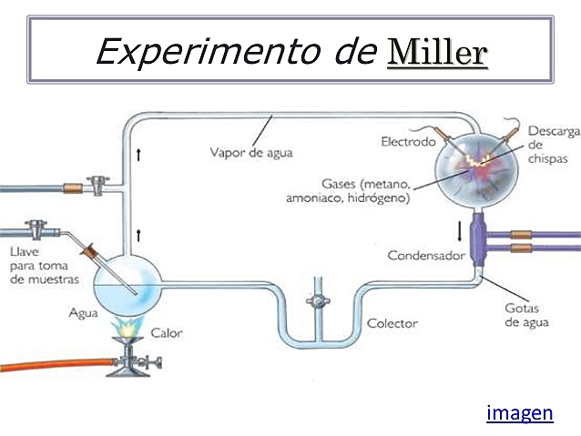Teoría S. prebiótica
