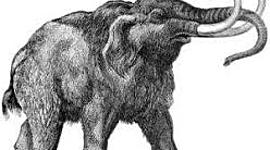 Timeline: LA ETAPA LÍTICA Y EL PROTONEOLÍTICO