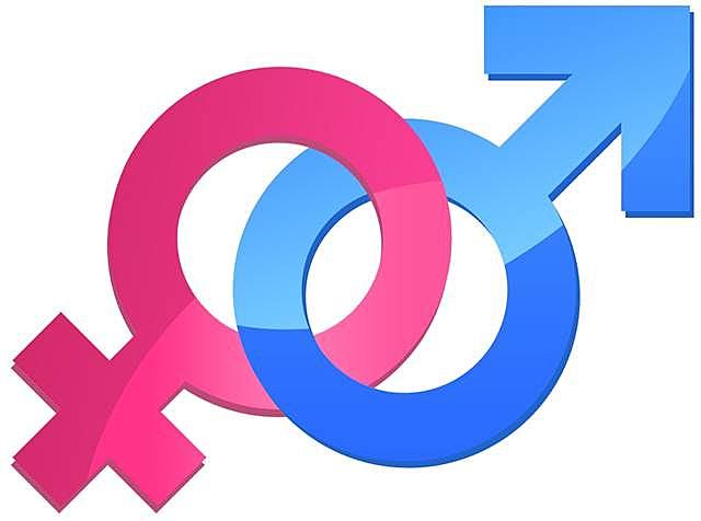 Enfoque de necesidades prácticas