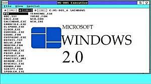 Windows 2.0