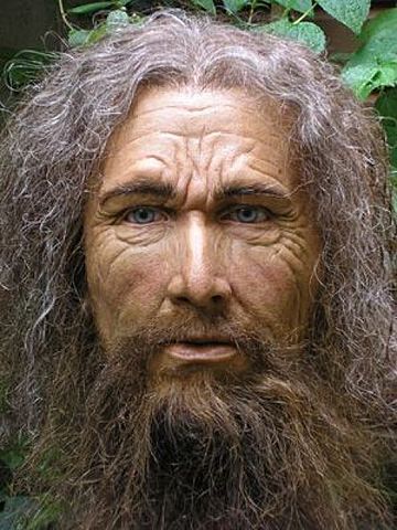 Humano (Homo Sapiens)