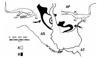 Tectónica de Placas en la Actualidad