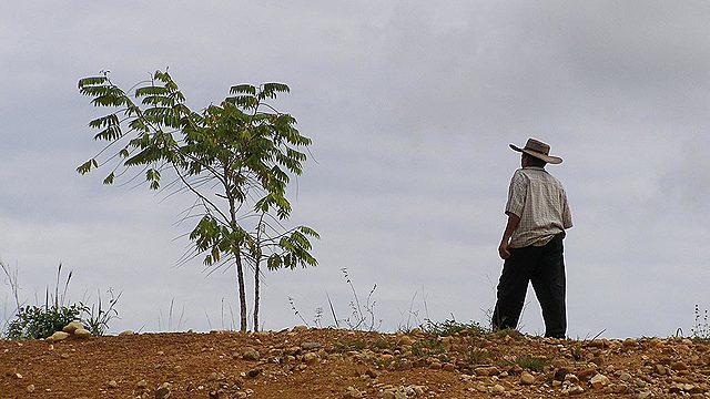 Llega la familia Olivera