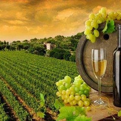 Timeline: La historia de la vitivinicultura y la enología por equipo 1.