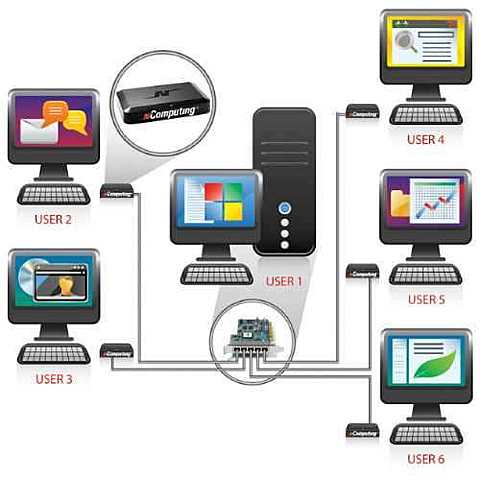 Creación dos terminales independentes