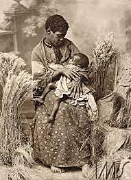 ingênuos e libertos na escolarização