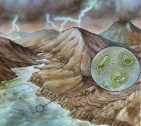 TEORÍA DE LA SÍNTESIS PREBIÓTICA