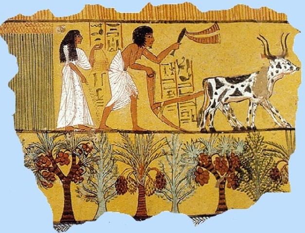 How did the Egyptians make clothing?