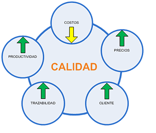 Modelo de calidad