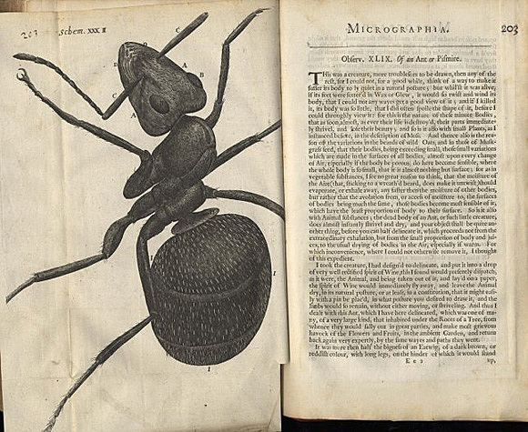 Micrographía (Robert hooke)
