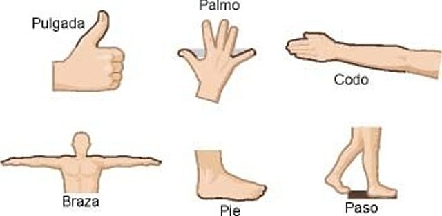 Unidades antropomórficas